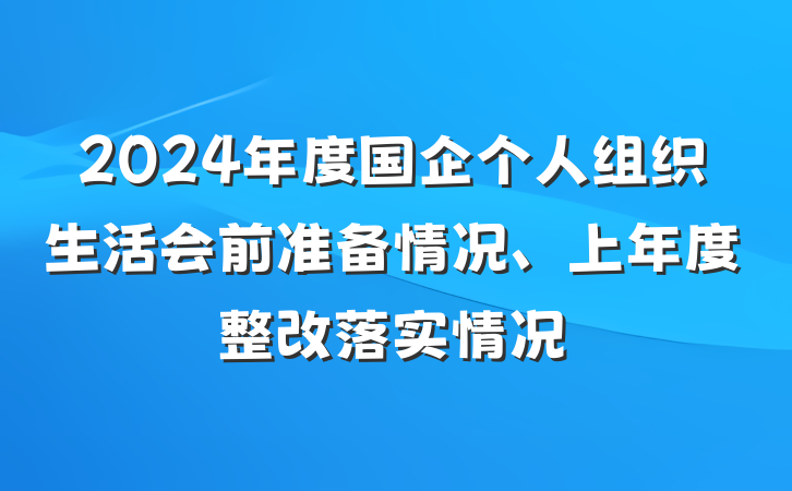 2024年度国企个人组织生活会前准备情况、上年度整改落实情况