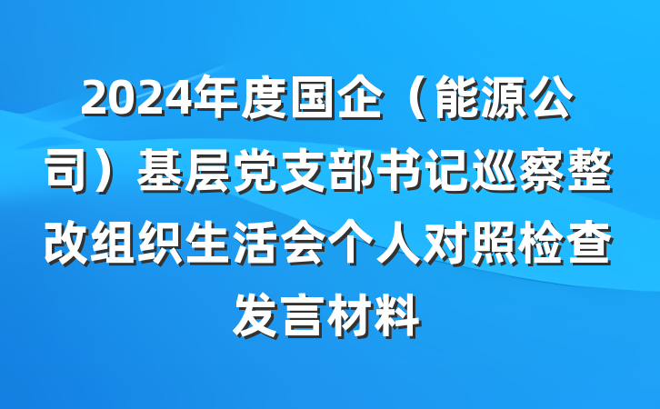 2024年度国企（能源公司）基层党支部书记巡察整改组织生活会个人对照检查发言材料