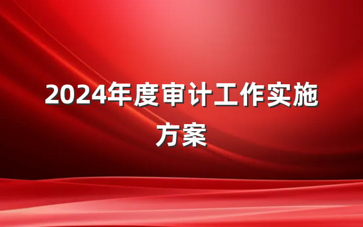 2024年度审计工作实施方案