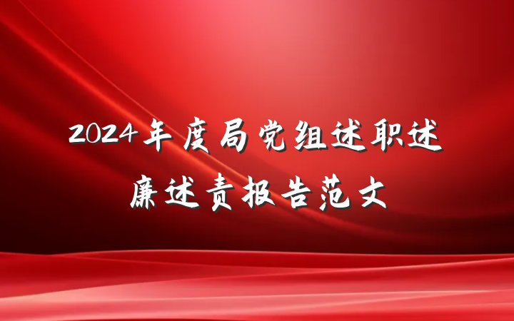 2024年度局党组述职述廉述责报告范文