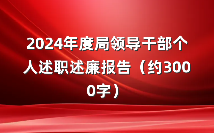 2024年度局领导干部个人述职述廉报告（约3000字）