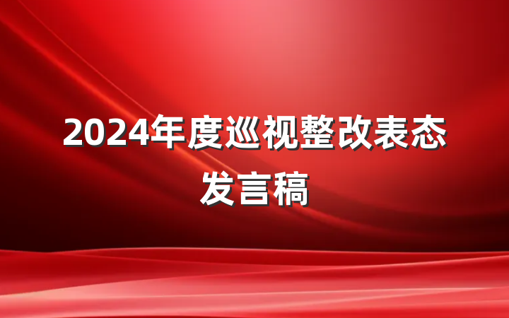 2024年度巡视整改表态发言稿