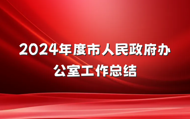 2024年度市人民政府办公室工作总结