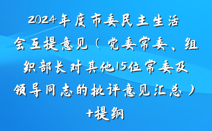 2024年度市委民主生活会互提意见（党委常委、组织部长对其他15位常委及领导同志的批评意见汇总） 提纲