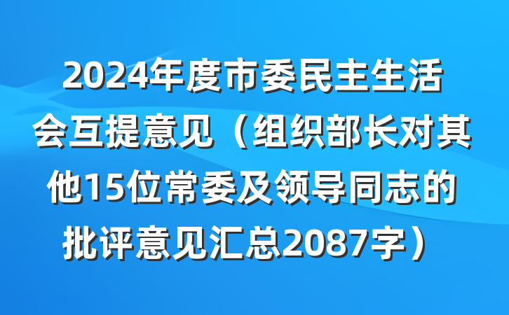 2024年度市委民主生活会互提意见（组织部长对其他15位常委及领导同志的批评意见汇总2087字）