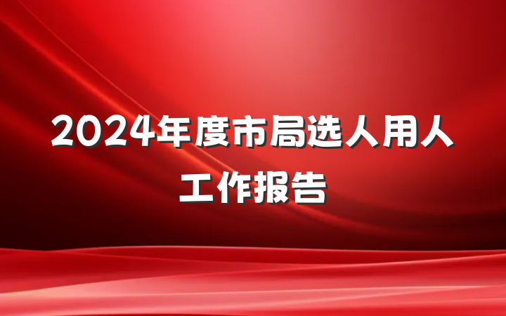 2024年度市局选人用人工作报告
