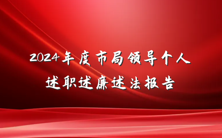 2024年度市局领导个人述职述廉述法报告