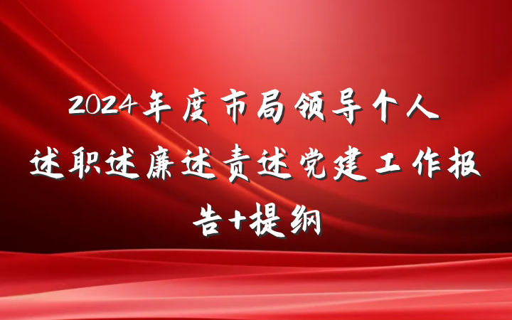2024年度市局领导个人述职述廉述责述党建工作报告 提纲
