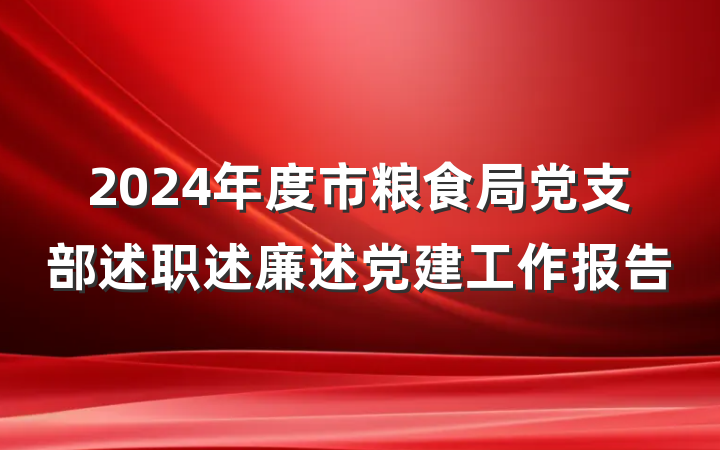 2024年度市粮食局党支部述职述廉述党建工作报告