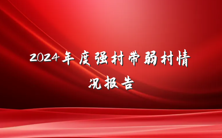 2024年度强村带弱村情况报告