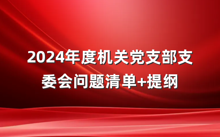 2024年度机关党支部支委会问题清单 提纲