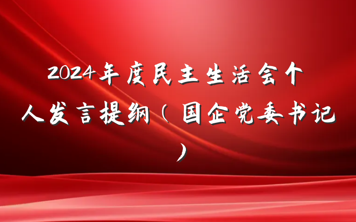2024年度民主生活会个人发言提纲（国企党委书记）