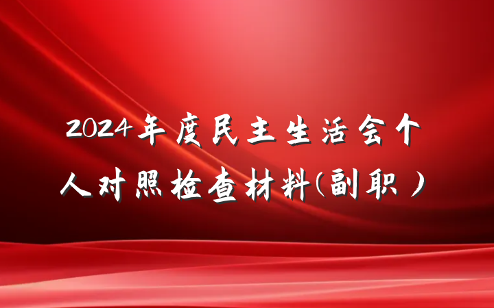 2024年度民主生活会个人对照检查材料(副职)