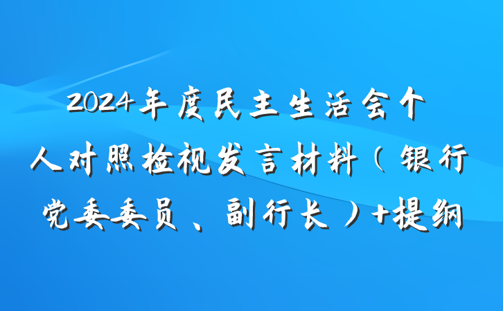 2024年度民主生活会个人对照检视发言材料（银行党委委员、副行长） 提纲