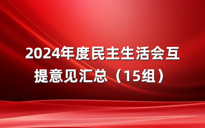 2024年度民主生活会互提意见汇总（15组）