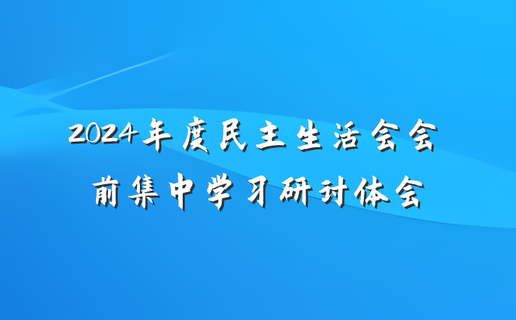 2024年度民主生活会会前集中学习研讨体会