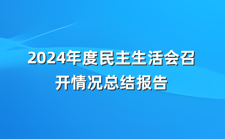 2024年度民主生活会召开情况总结报告