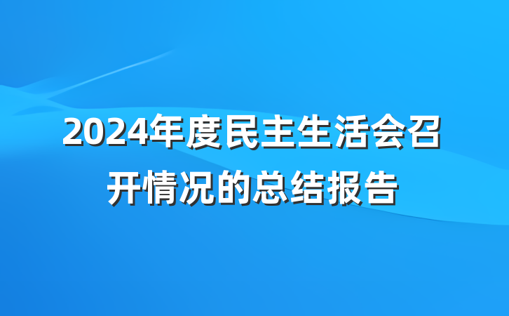2024年度民主生活会召开情况的总结报告