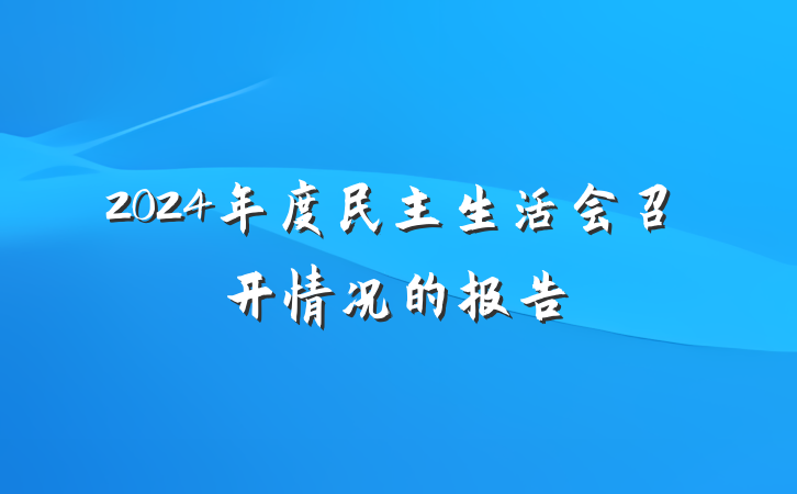 2024年度民主生活会召开情况的报告
