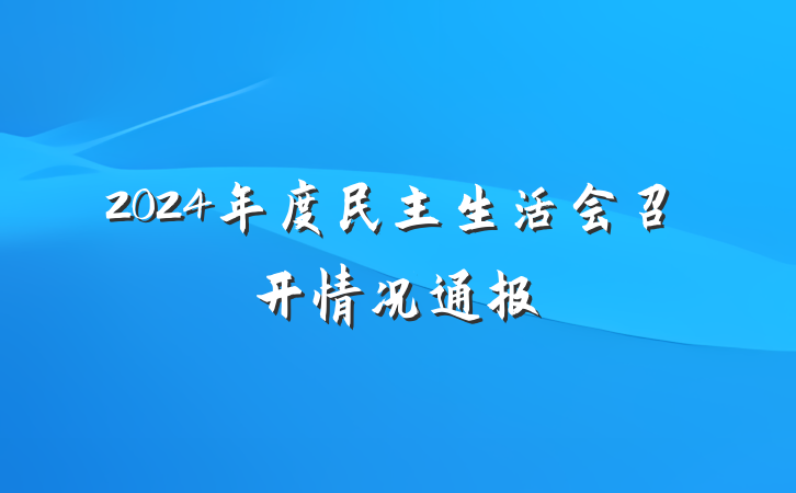 2024年度民主生活会召开情况通报