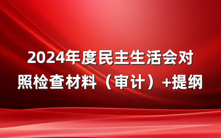 2024年度民主生活会对照检查材料（审计） 提纲