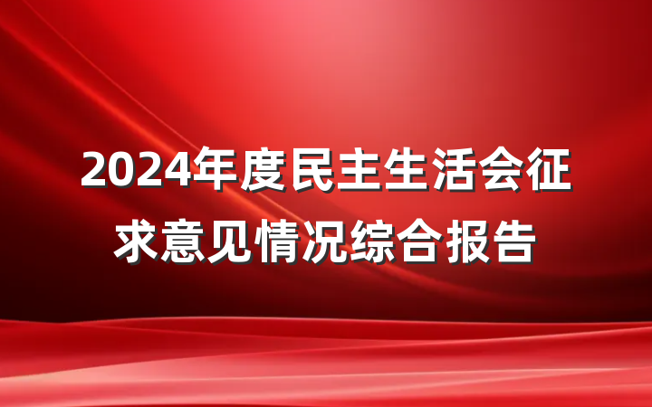 2024年度民主生活会征求意见情况综合报告
