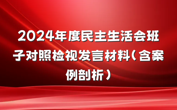 2024年度民主生活会班子对照检视发言材料（含案例剖析）