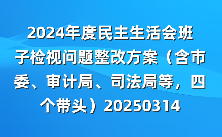 2024年度民主生活会班子检视问题整改方案(含市委、审计局、司法局等,四个带头)20250314