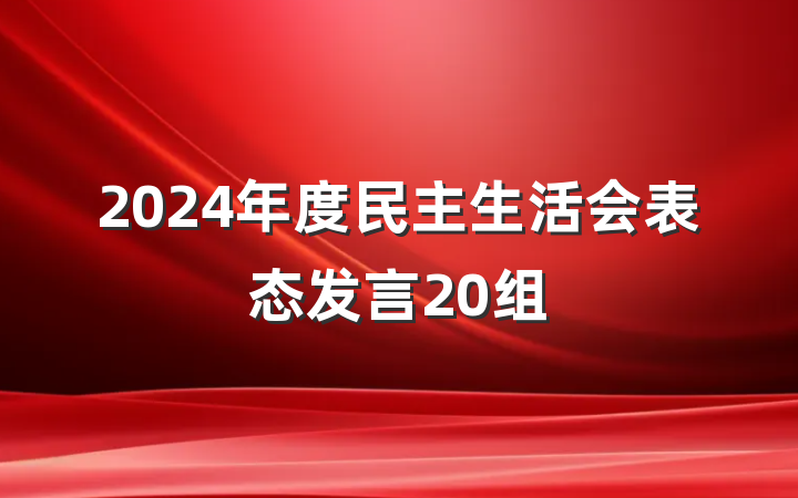 2024年度民主生活会表态发言20组