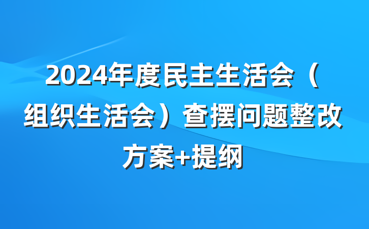 2024年度民主生活会（组织生活会）查摆问题整改方案 提纲