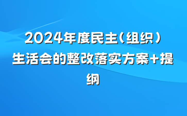 2024年度民主（组织）生活会的整改落实方案 提纲