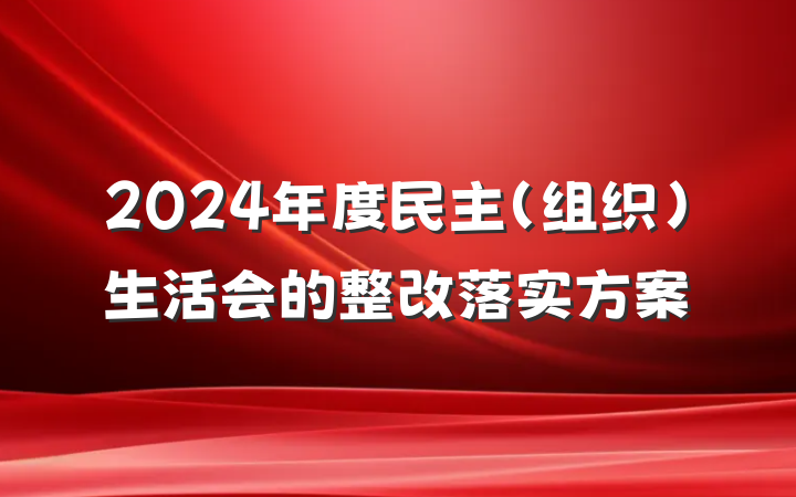 2024年度民主（组织）生活会的整改落实方案