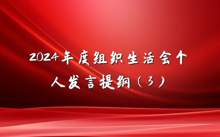 2024年度组织生活会个人发言提纲(3)