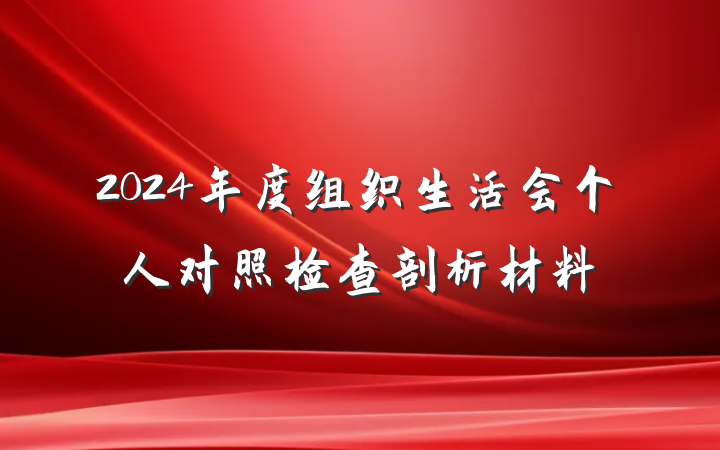 2024年度组织生活会个人对照检查剖析材料
