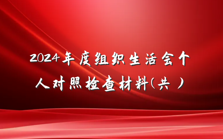 2024年度组织生活会个人对照检查材料(共）