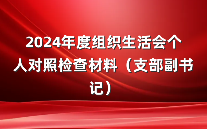 2024年度组织生活会个人对照检查材料（支部副书记）