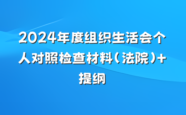 2024年度组织生活会个人对照检查材料（法院） 提纲