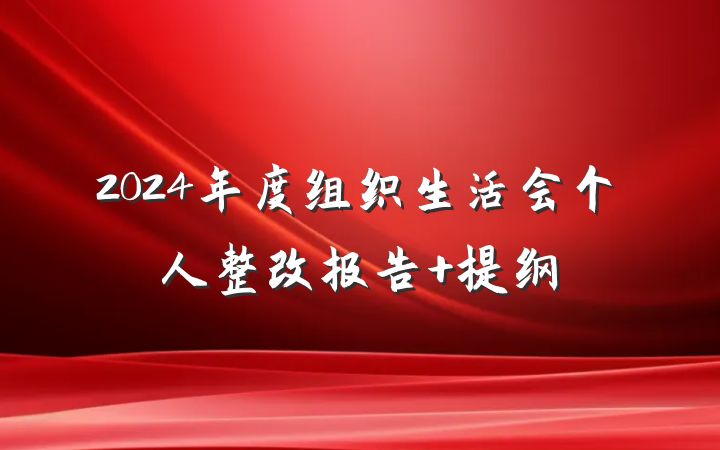2024年度组织生活会个人整改报告 提纲