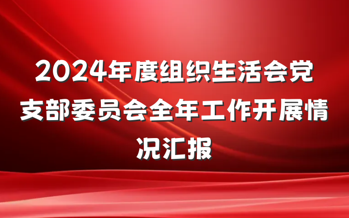 2024年度组织生活会党支部委员会全年工作开展情况汇报