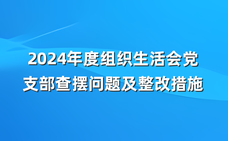 2024年度组织生活会党支部查摆问题及整改措施