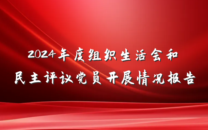 2024年度组织生活会和民主评议党员开展情况报告