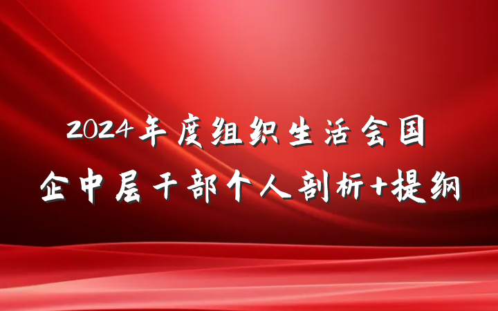 2024年度组织生活会国企中层干部个人剖析 提纲