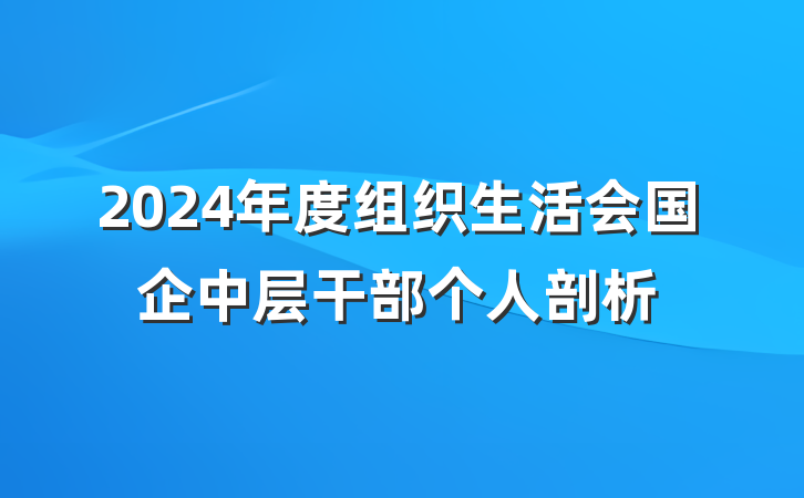 2024年度组织生活会国企中层干部个人剖析