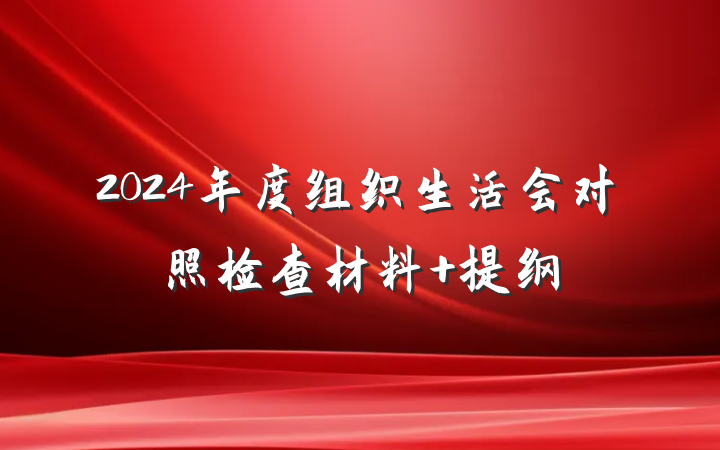 2024年度组织生活会对照检查材料 提纲