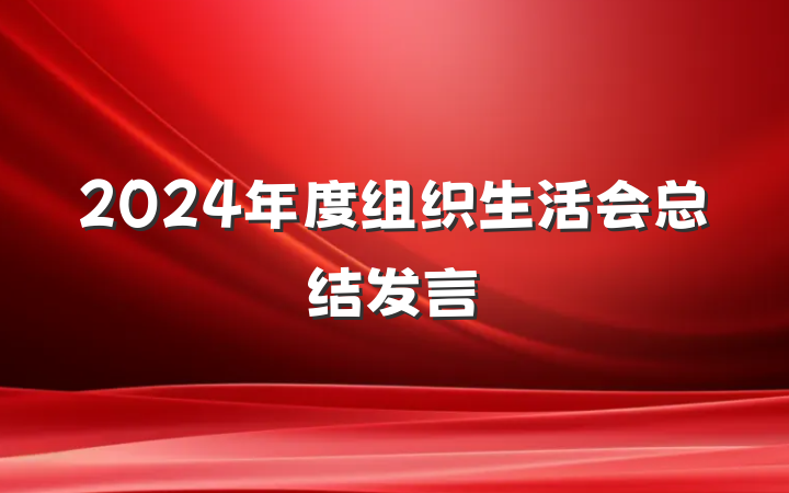 2024年度组织生活会总结发言