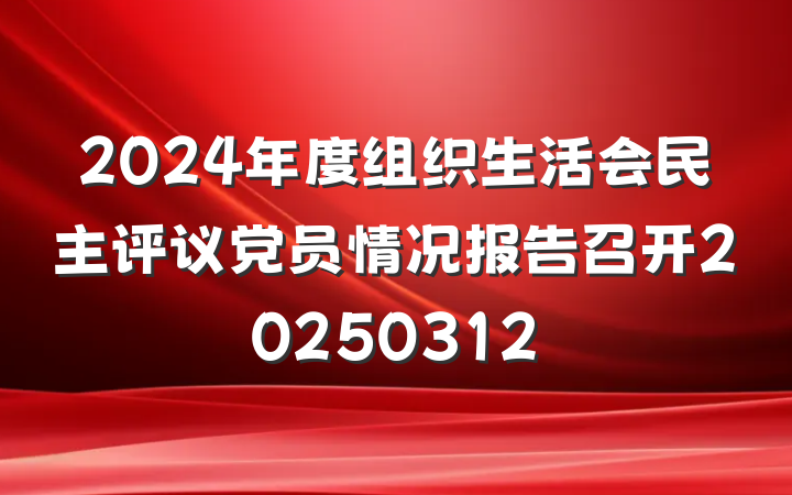 2024年度组织生活会民主评议党员情况报告召开20250312