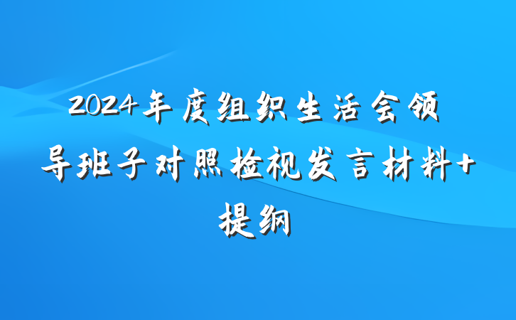 2024年度组织生活会领导班子对照检视发言材料 提纲