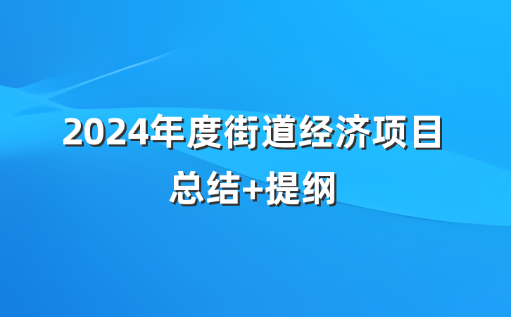 2024年度街道经济项目总结 提纲