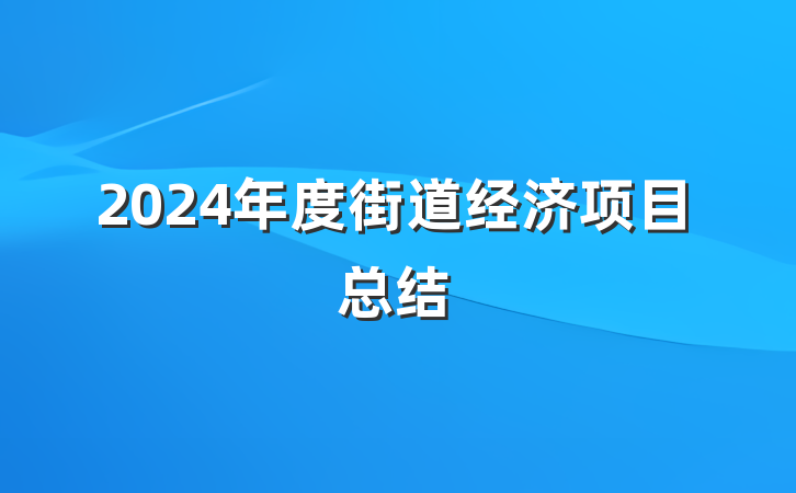 2024年度街道经济项目总结