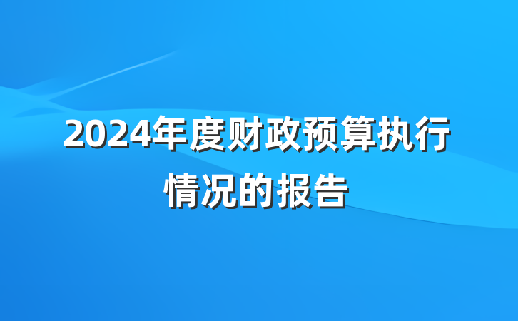 2024年度财政预算执行情况的报告